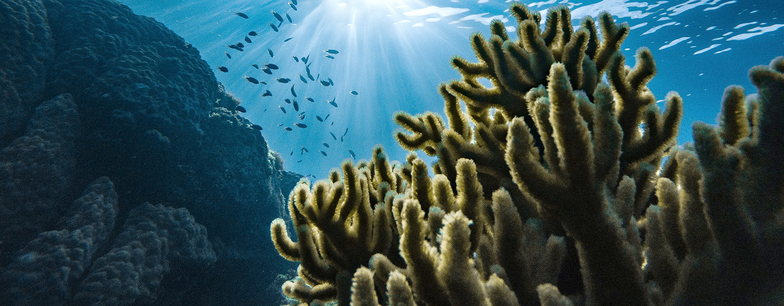 mansion88·明升官方网站中水回用、陶瓷膜、石墨烯膜、黑金膜公家号，迎接您扫码关注！