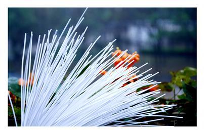 mansion88明升|主页