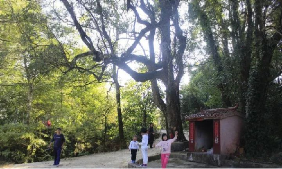 mansion88明升|主页